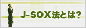 {SOX@Ƃ́H